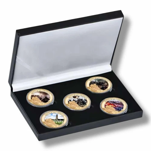 WW1 The Battle Of Verdun x5 Gold Plated Coins Set In A Display Box World War 1 - Picture 1 of 5