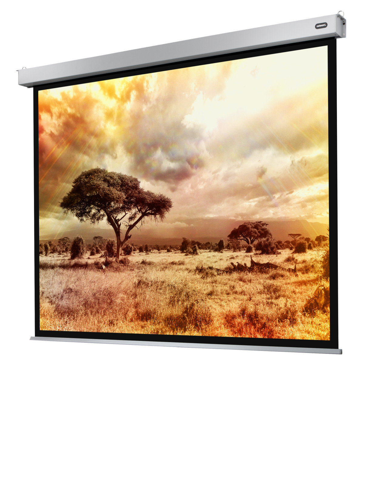 Thumbnail - Celexon Motor-leinwand Mit Steuerbox Und Fernbedienung Pro Plus