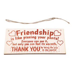 Best Friend Sign Friendship Gift Funny Thank You Plaque Sign Decoration WA