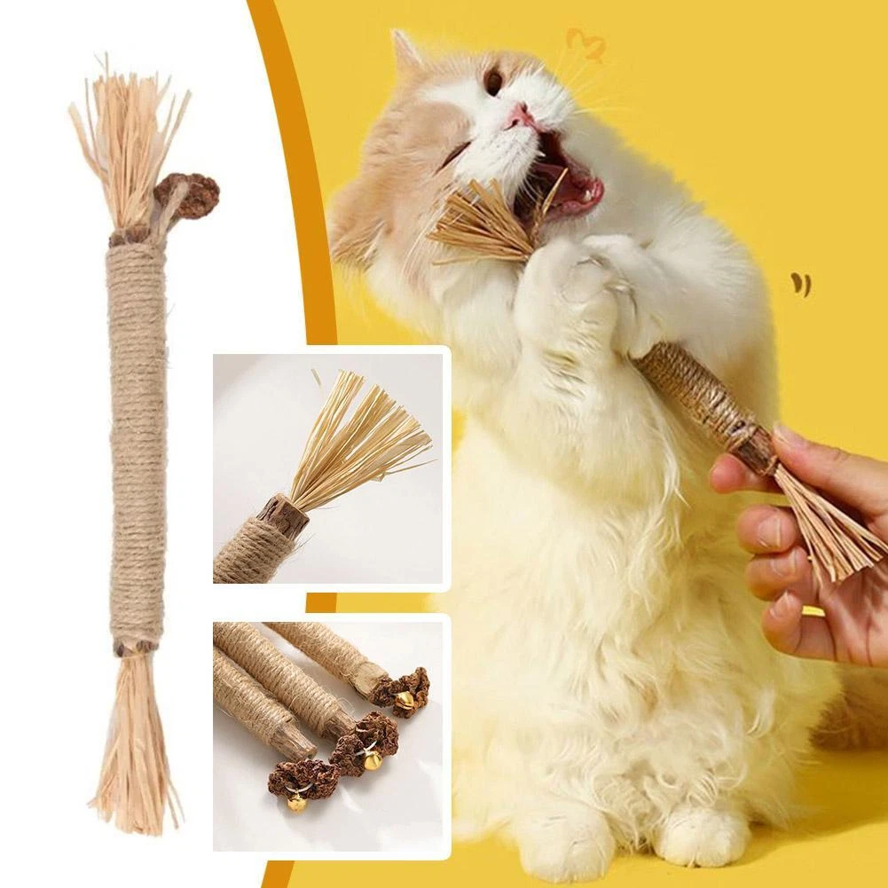 Cat chew clearance sticks for teeth