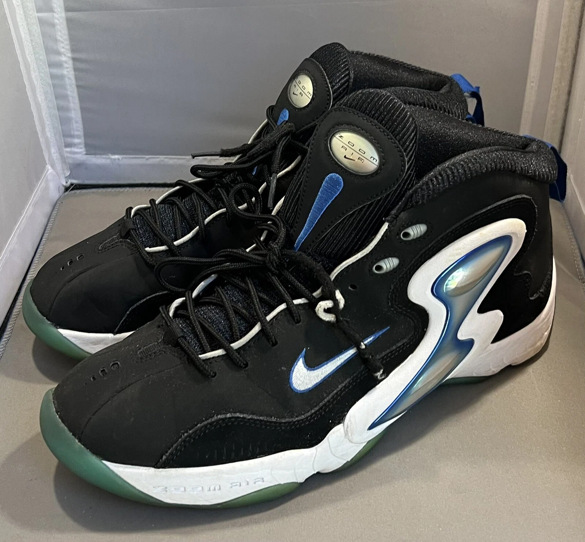 zoom air flight