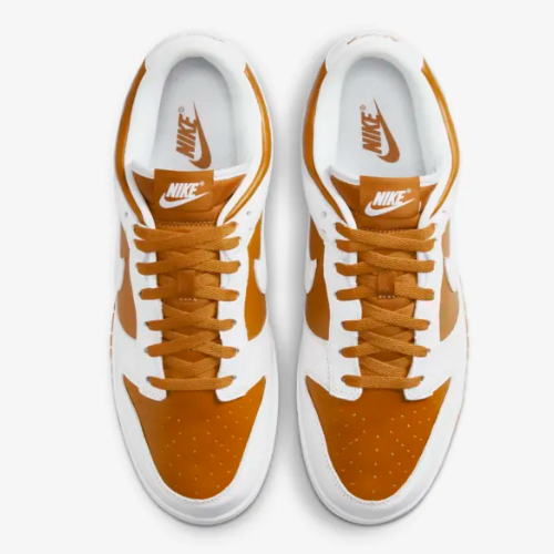 dark curry nike dunk