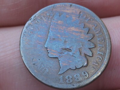 1889 Indian Head Cent Penny- Woody/Wood Grain Effect, About Good Details