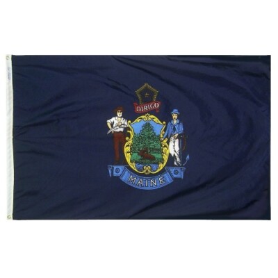 Maine Annin Flagmakers State Nylon Flag Indoor Outdoor All Sizes