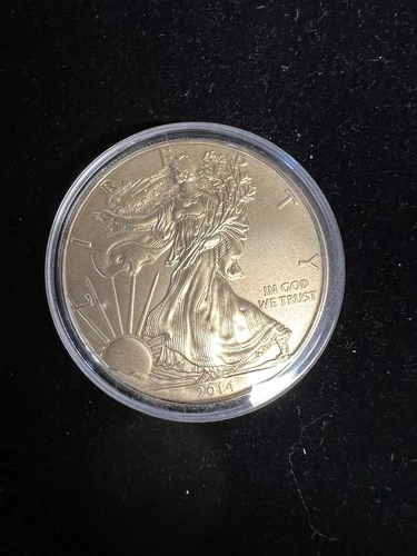 2014 1 oz American Silver Eagle Coin .999 Silver Business Strike Light Gold Tone