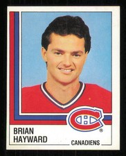 1987-88 Panini Stickers #55 Brian Hayward