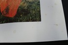 Bild 6 von 9