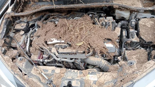 211875658 Innenrückleuchte Links für TOYOTA C-HR (X10) * 2021 6692497 - Bild 7 von 10