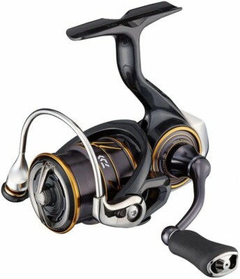 Daiwa 21 CALDIA FC LT1000S 5.1 Spinning Reel New | eBay