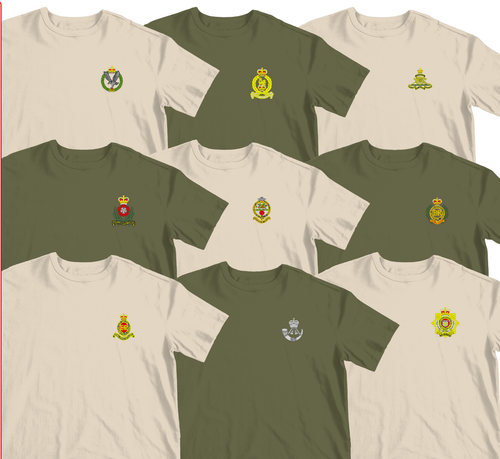 Embroidered Cap badge Army Tshirt REME RE PWRR AGC AAC RHA RIFLES RLC AAC IC - 第 1/45 張圖片