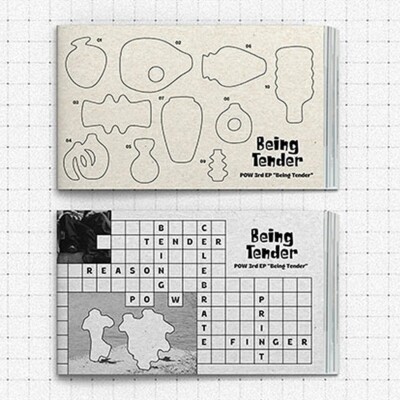 POW [BEING TENDER] 3rd Mini Album PHOTO BOOK 2 Ver SET/2 CD+4 Book+2 Card