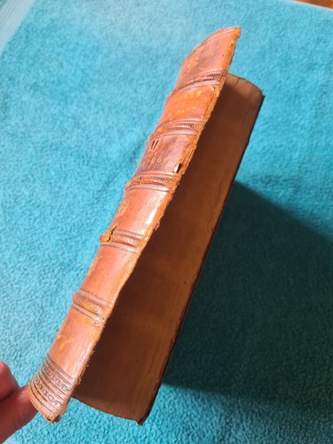 Heilige Bibel, D'Oyly & Mant, Band 1, Genesis - Job, SPCK 1850 - Bild 3 von 21