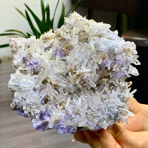 3.26LB Natural Transparent Chrysanthemum crystal Cluster with Amethyst Specimen - 第 10/18 張圖片