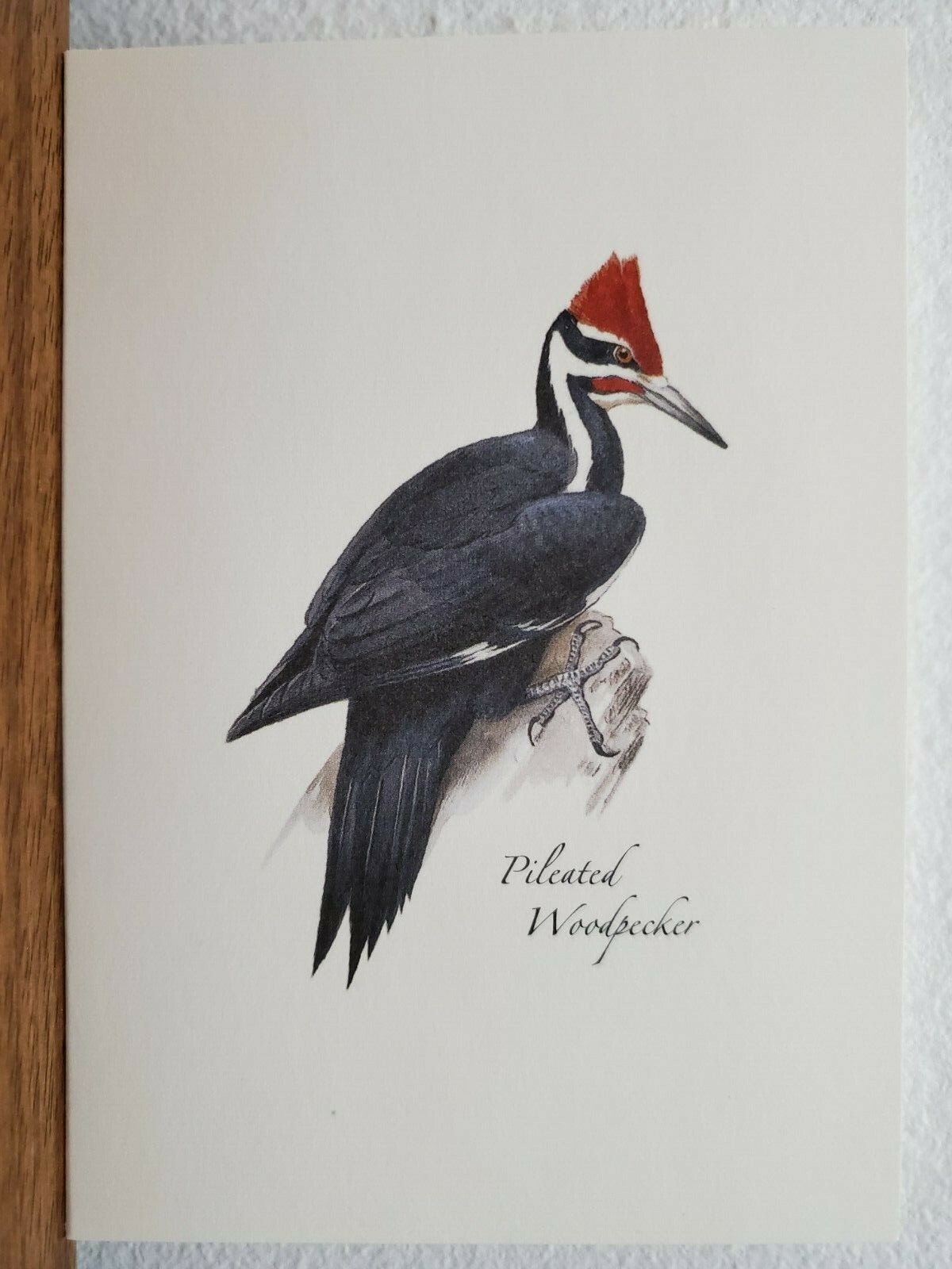 Picture 4 of 9