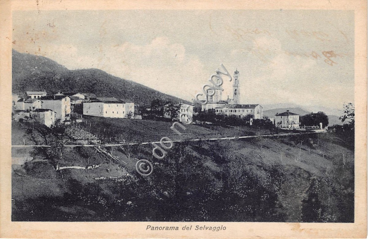 Cartolina - Postcard - Selvaggio Giaveno panorama del Selvaggio Santuario S. M.