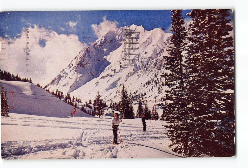 Alta Utah UT Postcard 1950 Alta Utah Ski Area With Skiers