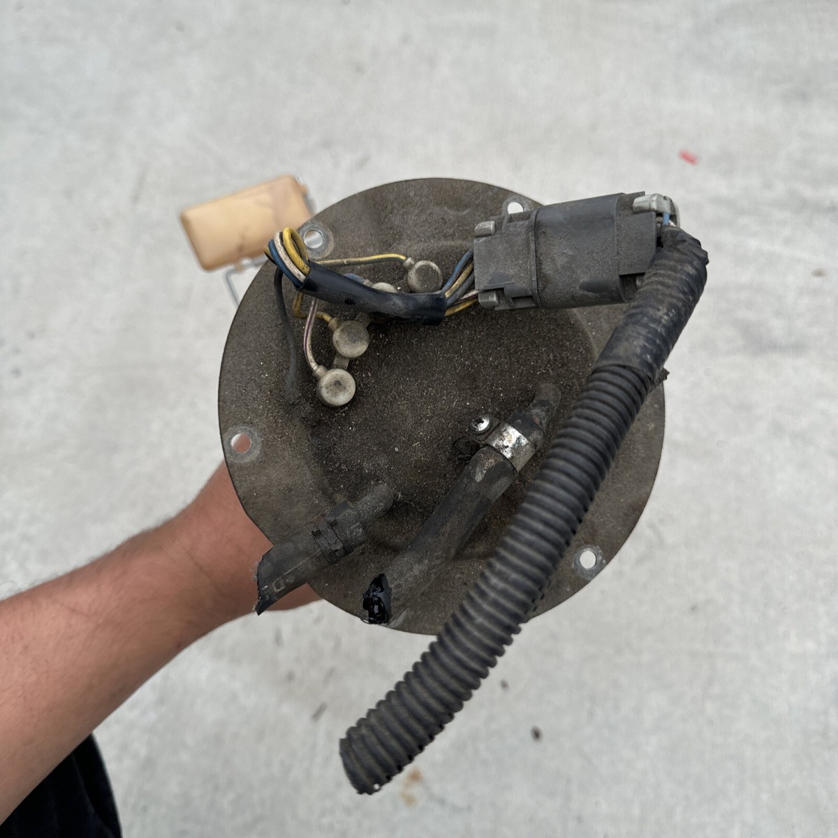 SEV FUEL P・E Amazon.com: Lzevoxec Fuel Pump for LX SE SVT ZTS ZTW ZX3 ZX5