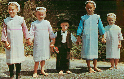 Postcard Greeting From The Amish Country A Group Of Amish Children | eBay