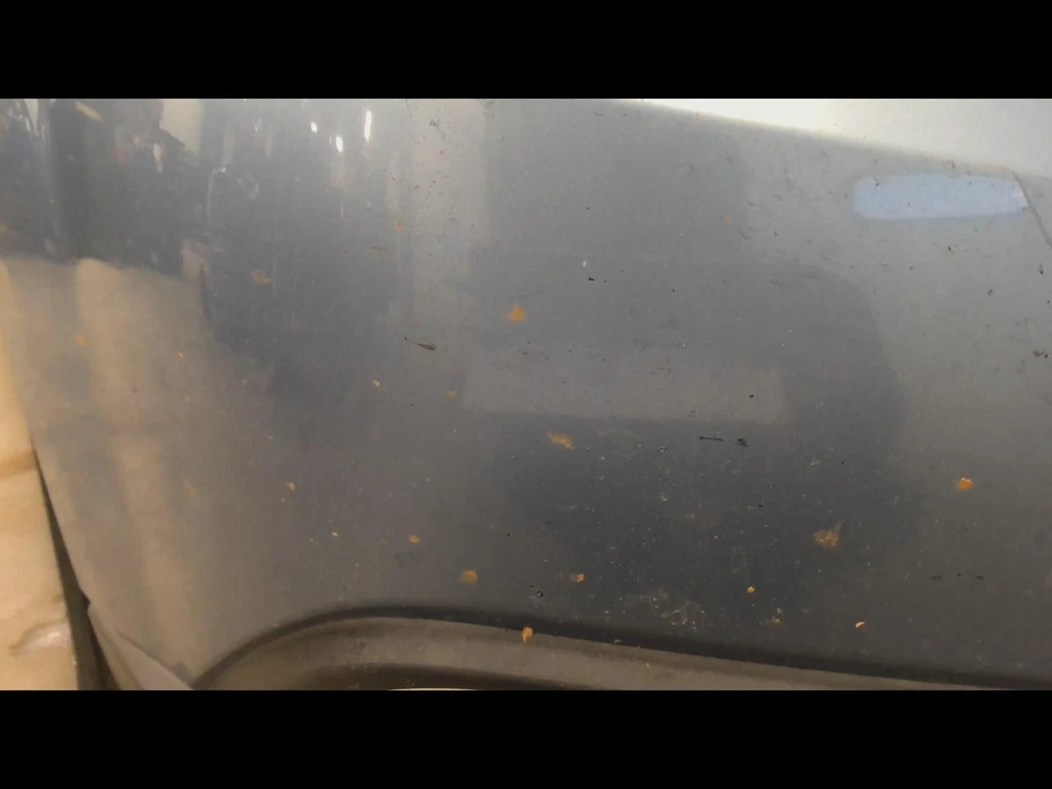 Used Front Bumper Assembly Front fits: 2012 Subaru Legacy SW Outback w/fog lamps Foto 3 de 4