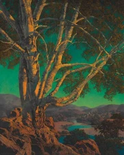 MAXFIELD PARRISH Art Poster or Rolled HQ Canvas Print "Old White Birch"