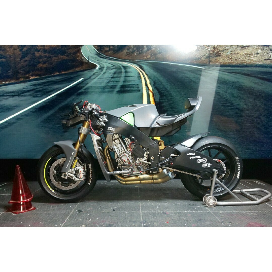 Tamiya 1/12 Kawasaki Ninja Zx-Rr Ver.Custom 17cm Built & Painted