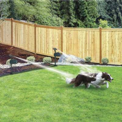 Hydro Critter Blaster Animal Sprinkler Repeller Scarecrow Motion Activated Solar