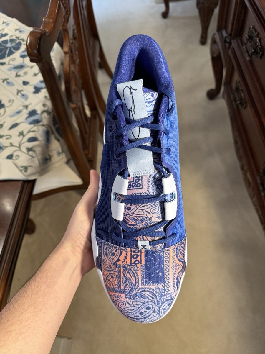 NIKE PG6 29cm ブルーペイズリー RARE Nike PG 6 'Blue Paisley' Hyper Royal Marine Mens