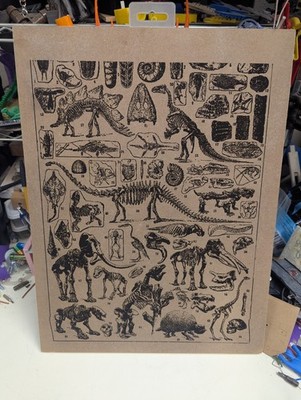 wood etch dinosaurs collage