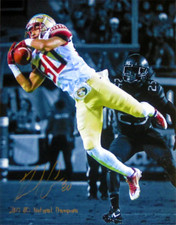 Rashad Greene 2013 BCS National CHampions Autographed 16x20 Spotlight Photo