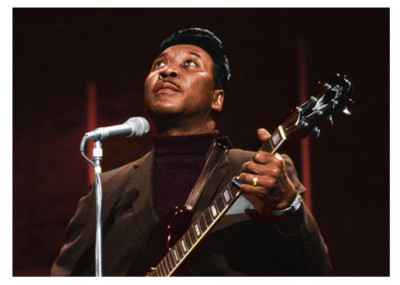MUDDY WATERS 5''X7'' PHOTOGRAPH
