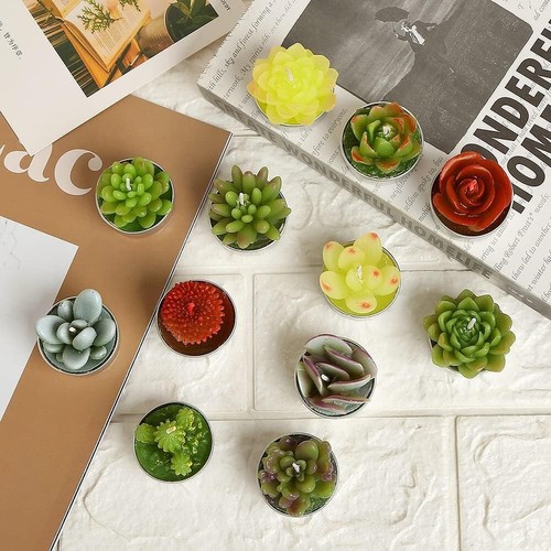 Vivid 12pc Succulent Cactus Tealight Candles - Perfect for Weddings & Home Decor - Picture 7 of 8