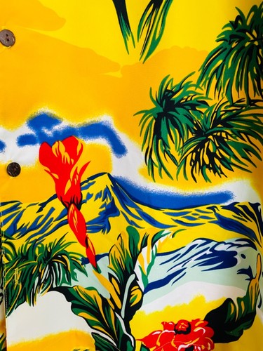 CAMICIA HAWAIANA VINTAGE COLLEZIONE colorata Aloha Large - Foto 4 di 9