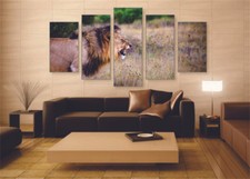 Fierce Lion Canvas Print Set - Ready To Hang Lion Wall Art Lion Home Decor