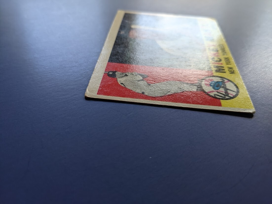 Picture 5 of 14