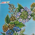 Bild 5 von 11