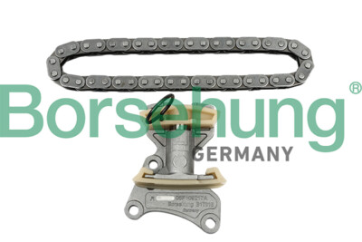 Borsehung B18847 Timing Chain Kit