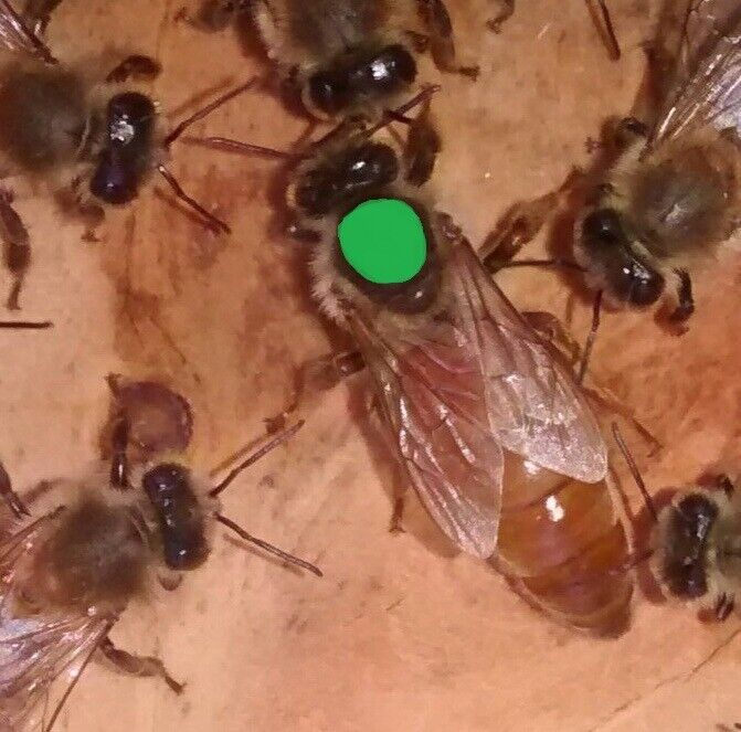 Picture 3 of 8