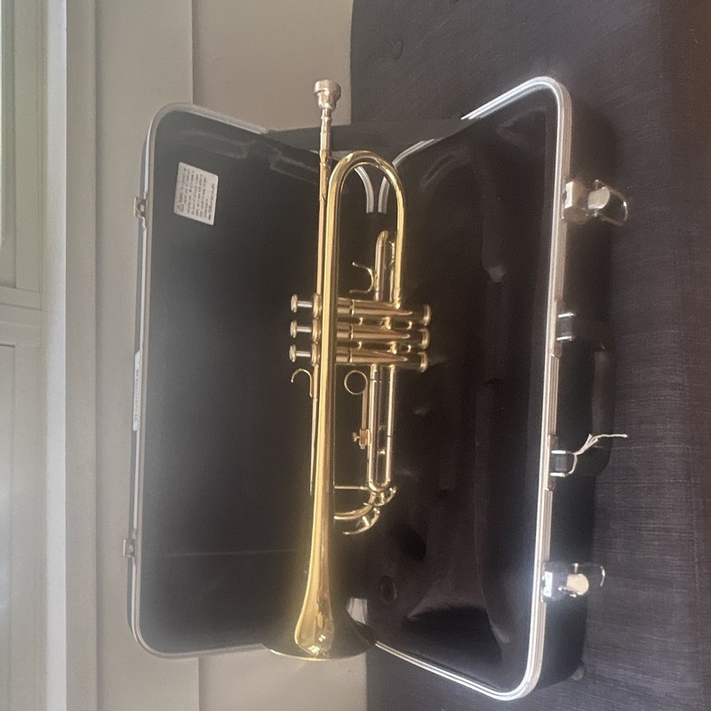 Hard Plastic Black Single Trumpet Case w/ Carry Handle, Latches, Regular Lock
