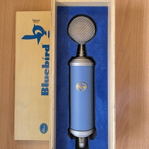 Blue Bluebird Sl | eBay