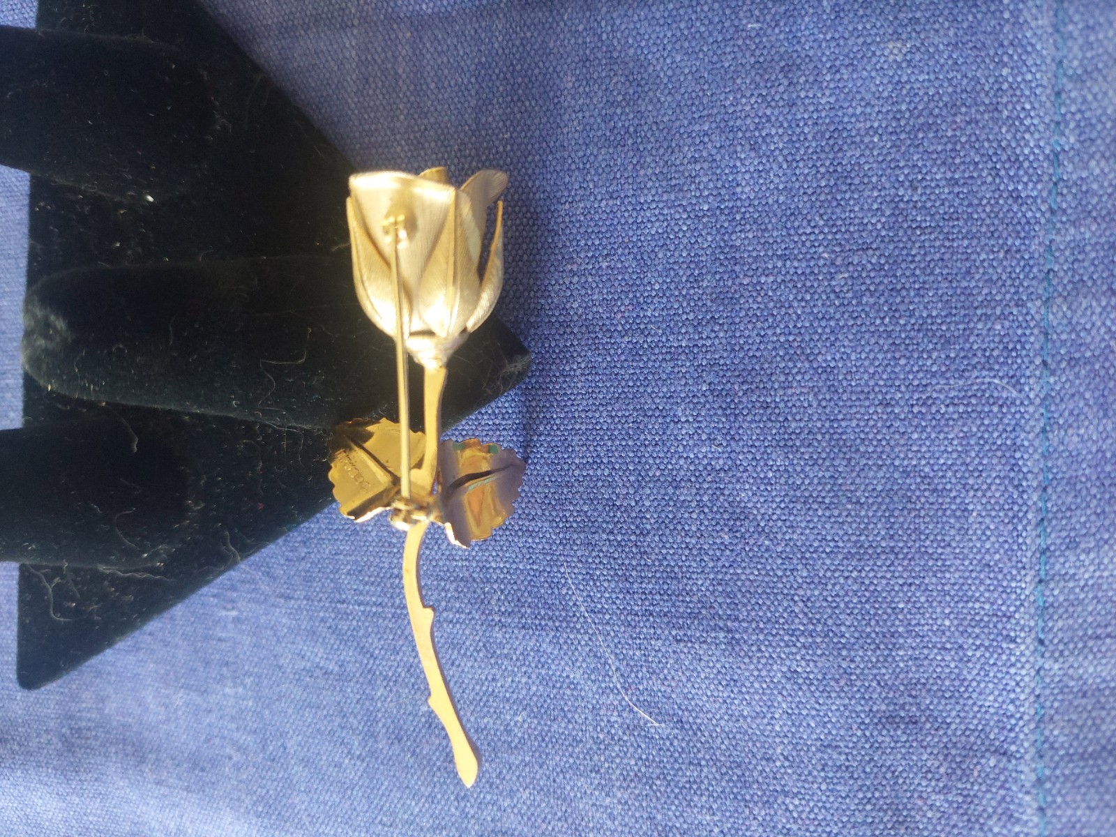 Picture 6 of 7