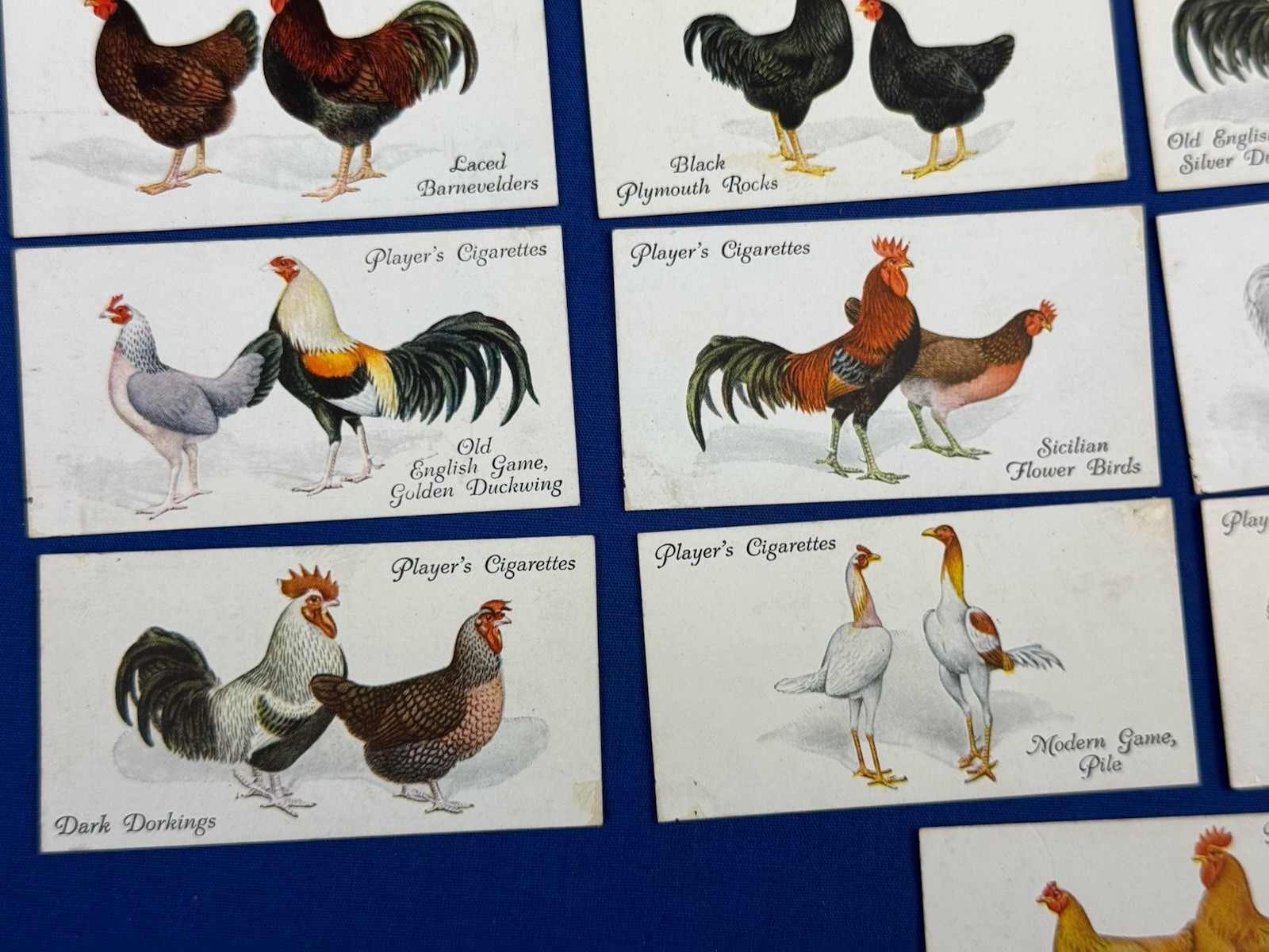 1931 John Player & Sons POULTRY Tobacco Cards, 21 Different, Imperial Tobacco Co