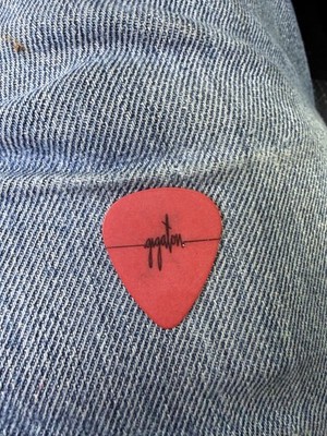 Pearl Jam pick Stone Gossard Orange Gigaton guitar pick