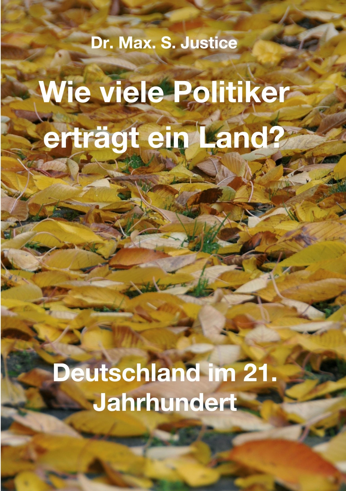 Thumbnail - Wie Viele Politiker Erträgt Ein Land? | Buch | 9783347353022