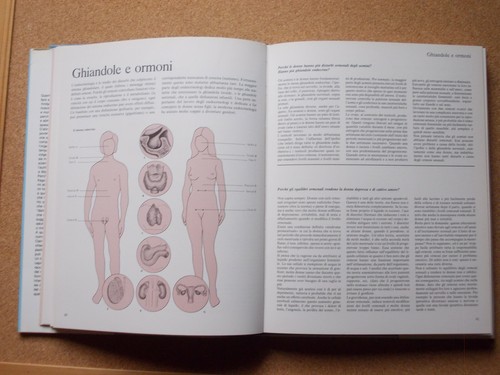 LIBRO TUTTO QUELLO CHE IL MEDICO VORREBBE DIRVI SE NE AVESSE IL TEMPO Rayer 1982 - Picture 3 of 10