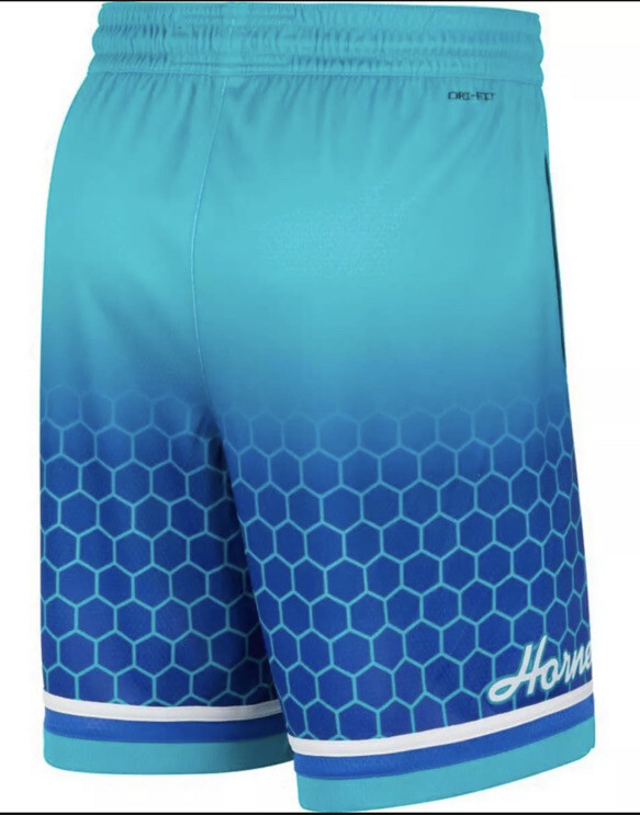 ウェア JORDAN BRAND NBA HORNETS SHORT L Men's Jordan Brand Teal Charlotte Hornets Statement Edition