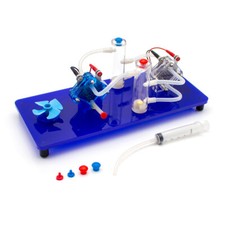 Generatore elettrolizzatore acqua dimostratore celle combustibile ossigeno idrogeno nuovo