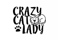 Vinyl Decal for Window - Crazy Cat Lady