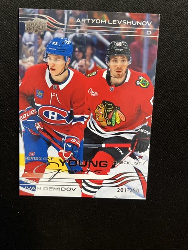 Ivan Demidov / Artyom Levshunov #250 card