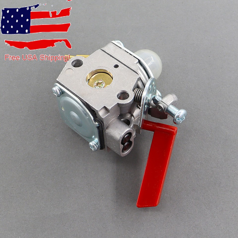 Eosnow Kit De Carburateur Pour Tondeuse à Gazon Homelite UT33600A 26cc - Foto 6