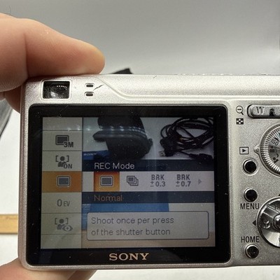 Sony Cyber-shot DSC-W200 12.1MP Digital Silver Camera with